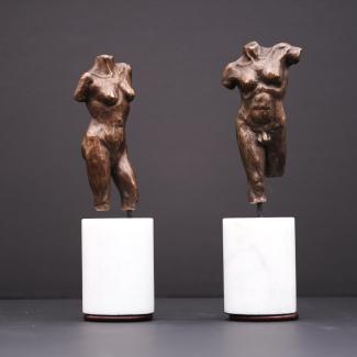 Torsos