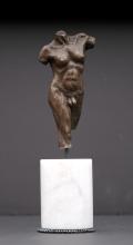 Male Torso