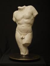 Male Torso Male Torso
