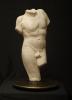 Male Torso