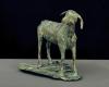 Nubian Goat